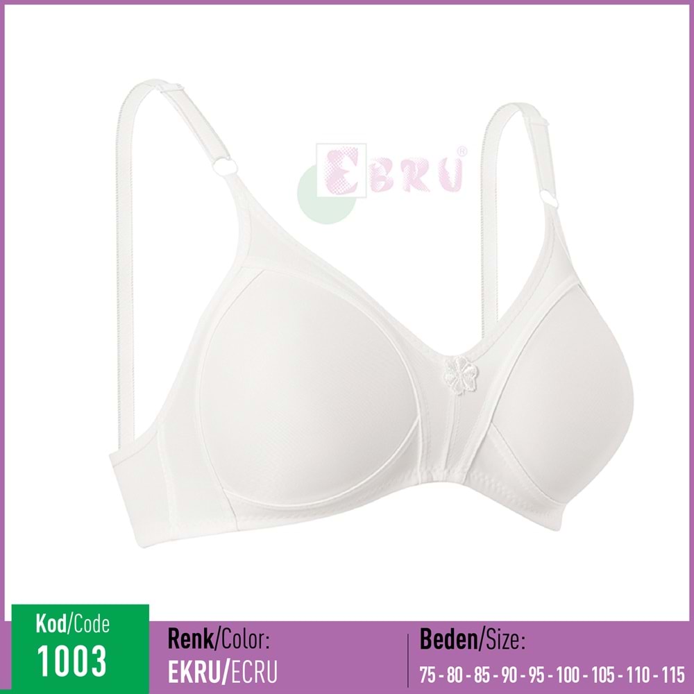 1003 EBRU ŞARDON TPLY BEYAZ 100