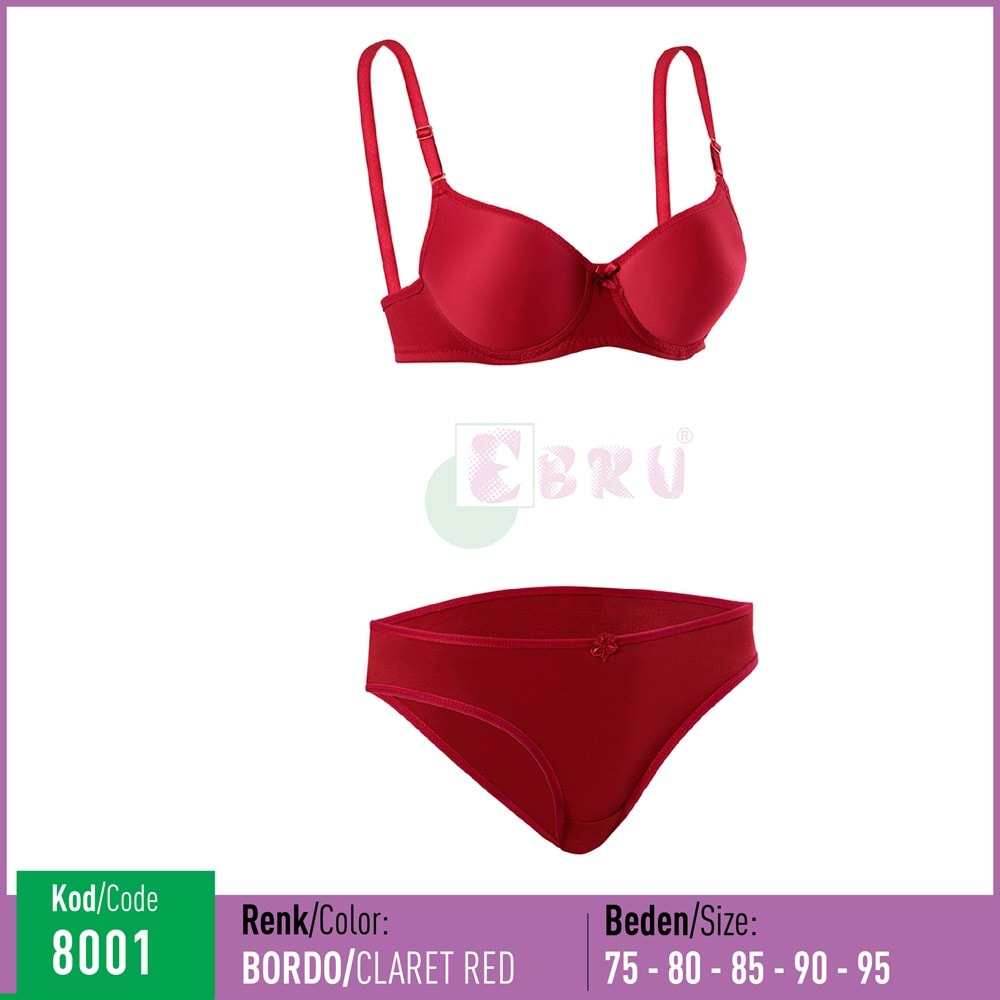8001 EBRU SİLİKONLU BOŞ BORDO