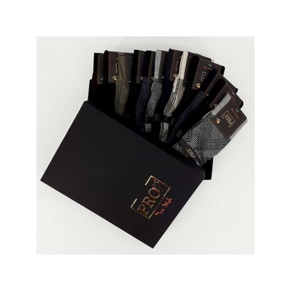 601 PRO PENYE ERKEK SOKET