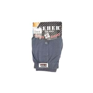 SHR DÜZ BOXER FÜME L