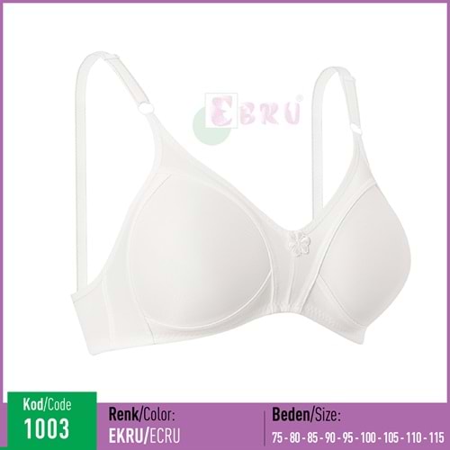 1003 EBRU ŞARDON TPLY BEYAZ 100