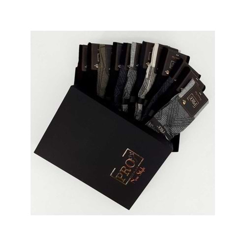 601 PRO PENYE ERKEK SOKET